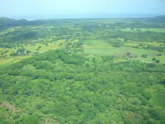 Farm La Vuelta Tamarindo Area